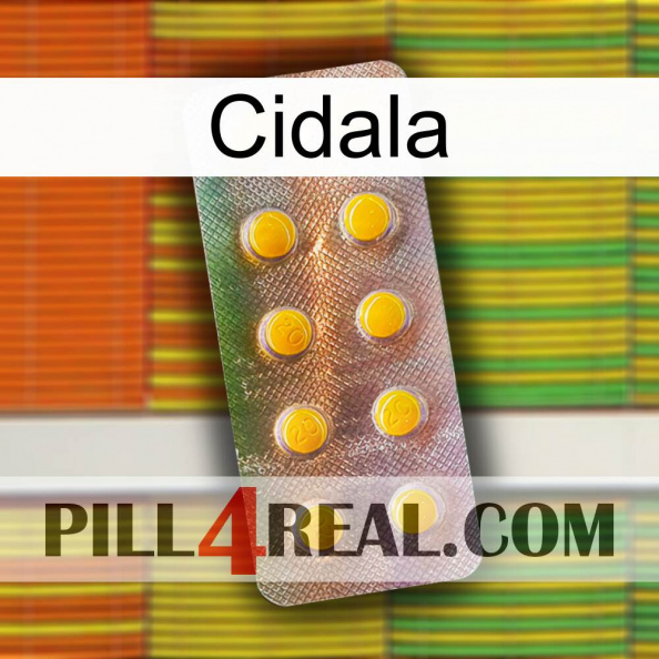 Cidala new11